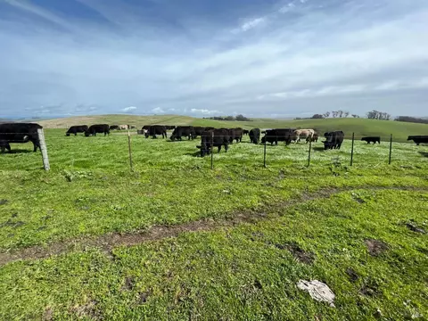 1400 Dillon Beach Rd, Tomales, CA 94971 photo 36