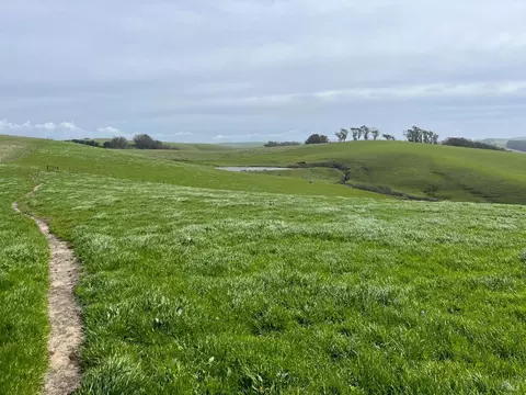 1400 Dillon Beach Rd, Tomales, CA 94971 photo 28