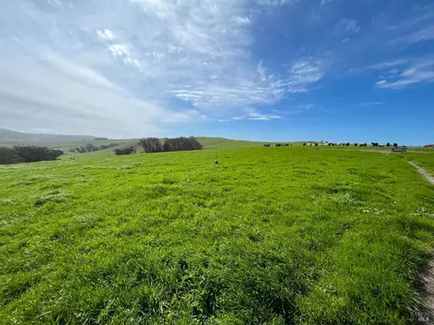 1400 Dillon Beach Rd, Tomales, CA 94971 photo 31