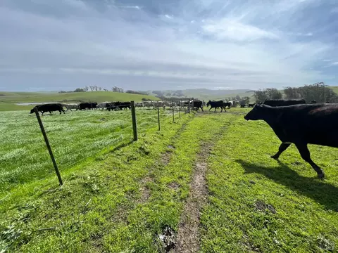 1400 Dillon Beach Rd, Tomales, CA 94971 photo 34