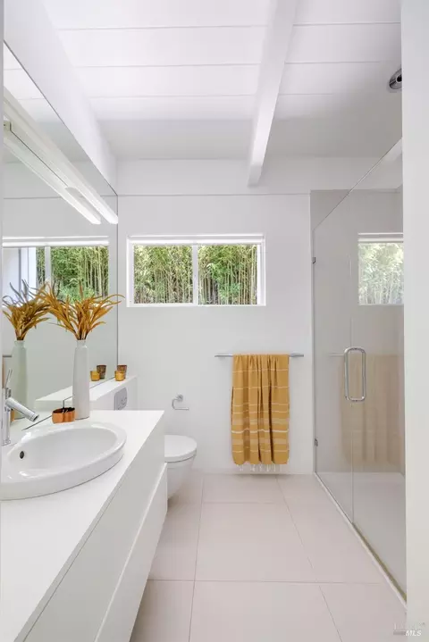Bath - 7 Sarah Dr, Mill Valley, CA 94941 photo 4 of 5