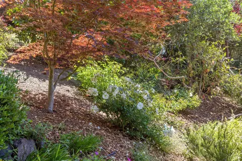 Exterior - 7 Madrono Ave, Corte Madera, CA 94925 photo 11 of 21
