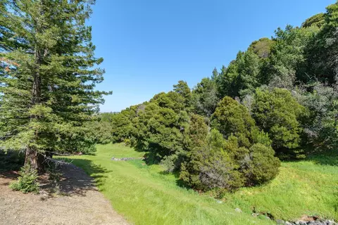 14 Laurel Dr, Corte Madera, CA 94925 photo 26