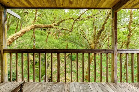 Exterior - 2 Pine Flat Rd, Cazadero, CA 95421 photo 9 of 16