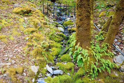 Other - 2 Pine Flat Rd, Cazadero, CA 95421 photo 10 of 10