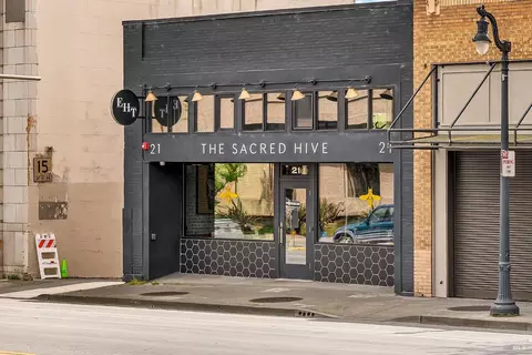 Other - 312 Washington St, Petaluma, CA 94952 photo 6 of 8