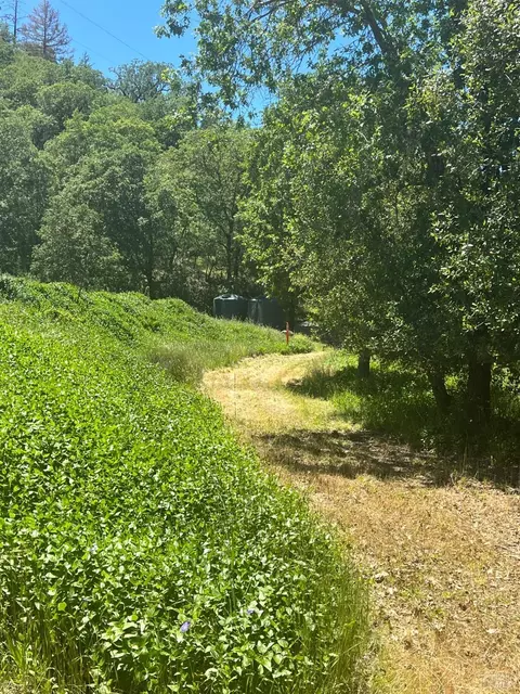 40750 Covelo Rd, Willits, CA 95490 photo 5