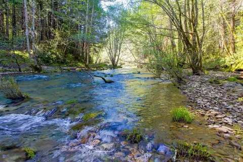 40050 Wilderness Lodge Rd, Branscomb, CA 95417 photo 2