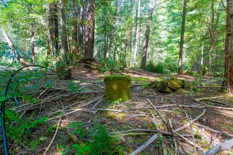 40050 Wilderness Lodge Rd, Branscomb, CA 95417 photo 19