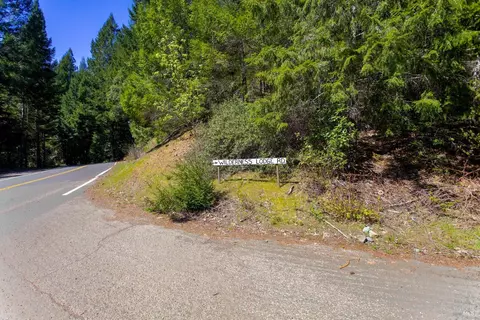 40050 Wilderness Lodge Rd, Branscomb, CA 95417 photo 23