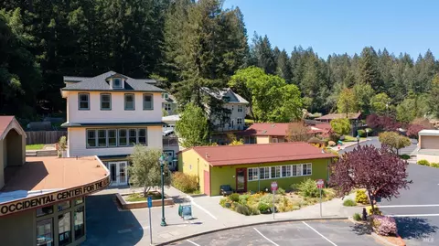 3880 Doris Murphy Ct, Occidental, CA 95465 photo 38