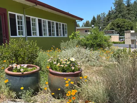 3880 Doris Murphy Ct, Occidental, CA 95465 photo 49
