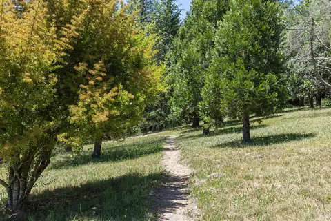 1643-1653 Furlong Rd, Sebastopol, CA 95472 photo 55