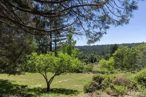 1643-1653 Furlong Rd, Sebastopol, CA 95472 photo 52