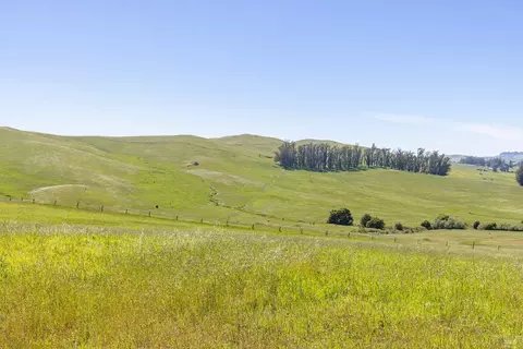Other - 3785 Roblar Rd, Petaluma, CA 94952 photo 45 of 47