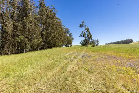 Other - 3785 Roblar Rd, Petaluma, CA 94952 photo 47 of 47