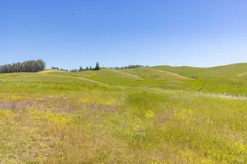 Other - 3785 Roblar Rd, Petaluma, CA 94952 photo 46 of 47