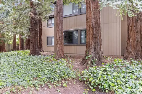 40 Arbor Ct, Cotati, CA 94931 photo 29