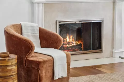 Living - 64 Eucalyptus Knoll St, Mill Valley, CA 94941 photo 4 of 5