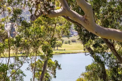 View/Area - 64 Eucalyptus Knoll St, Mill Valley, CA 94941 photo 1 of 2