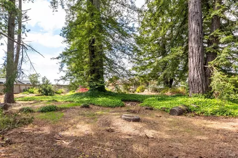 5320 Mcfarlane Rd, Sebastopol, CA 95472 photo 3