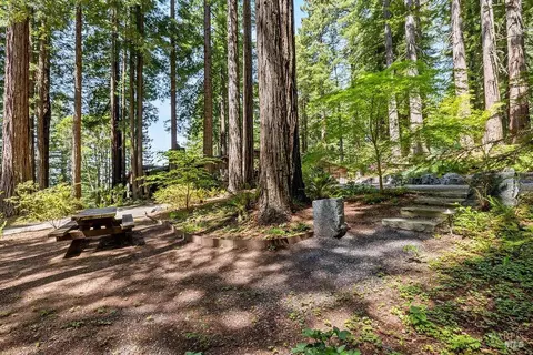 Exterior - 17090 Fitzpatrick Ln, Occidental, CA 95465 photo 38 of 57