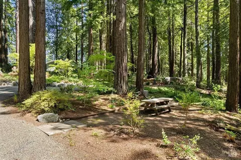 Exterior - 17090 Fitzpatrick Ln, Occidental, CA 95465 photo 31 of 57