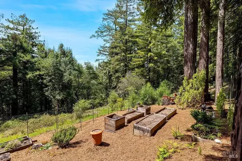 Exterior - 17090 Fitzpatrick Ln, Occidental, CA 95465 photo 28 of 57