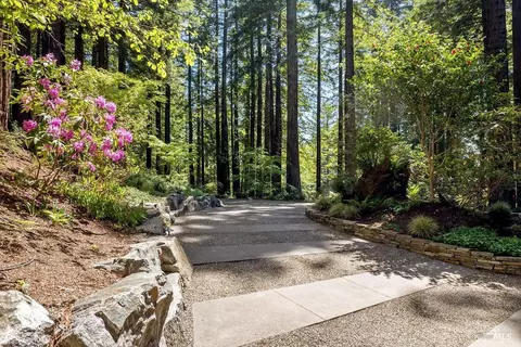 Exterior - 17090 Fitzpatrick Ln, Occidental, CA 95465 photo 39 of 57