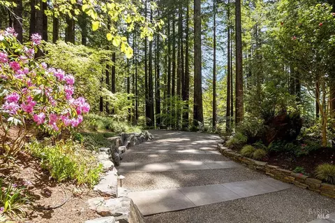 Exterior - 17090 Fitzpatrick Ln, Occidental, CA 95465 photo 36 of 57