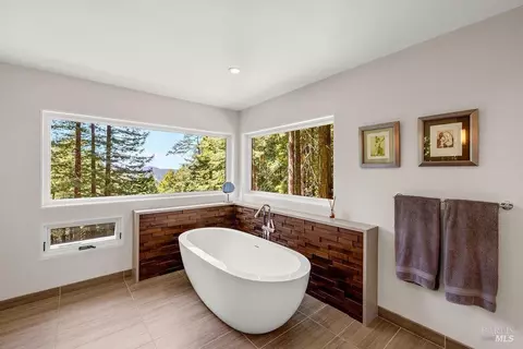 Bath - 17090 Fitzpatrick Ln, Occidental, CA 95465 photo 6 of 8