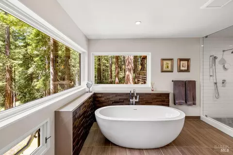 Bath - 17090 Fitzpatrick Ln, Occidental, CA 95465 photo 4 of 8
