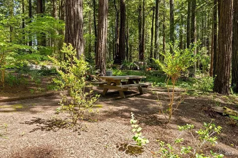 Exterior - 17090 Fitzpatrick Ln, Occidental, CA 95465 photo 37 of 57