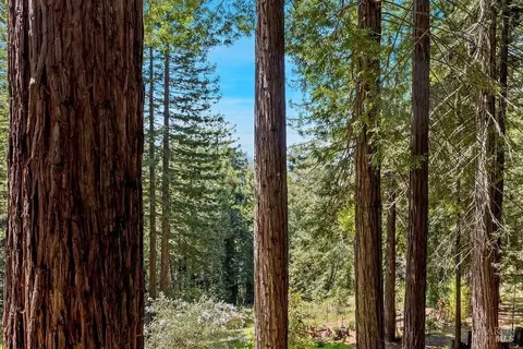 Exterior - 17090 Fitzpatrick Ln, Occidental, CA 95465 photo 43 of 57