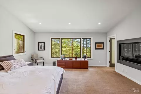 Bedroom - 17090 Fitzpatrick Ln, Occidental, CA 95465 photo 4 of 4