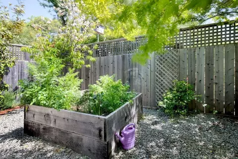 610 Wanda Ln, Mill Valley, CA 94941 photo 38