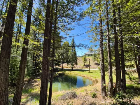 Other - 16770 Branscomb Rd, Branscomb, CA 95417 photo 18 of 26