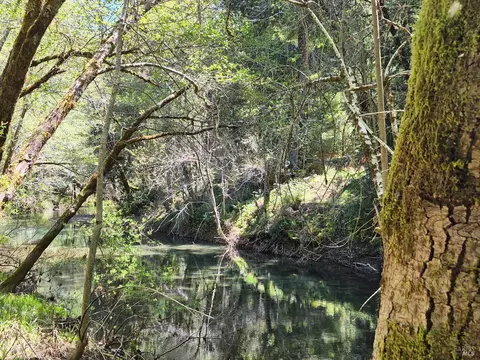View/Area - 16770 Branscomb Rd, Branscomb, CA 95417 photo 3 of 5