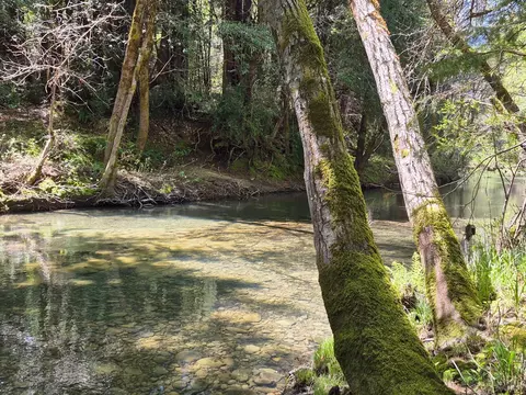 View/Area - 16770 Branscomb Rd, Branscomb, CA 95417 photo 5 of 5