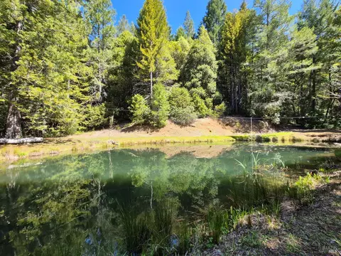 View/Area - 16770 Branscomb Rd, Branscomb, CA 95417 photo 1 of 5