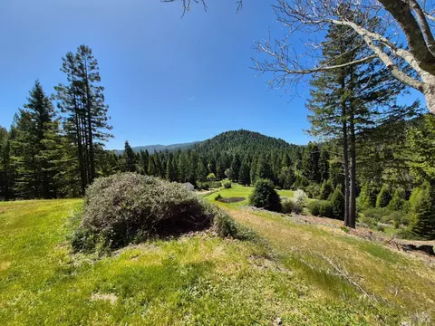Exterior - 16770 Branscomb Rd, Branscomb, CA 95417 photo 19 of 40