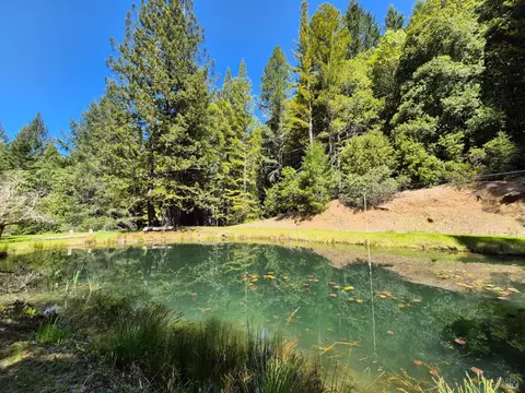 Other - 16770 Branscomb Rd, Branscomb, CA 95417 photo 17 of 26