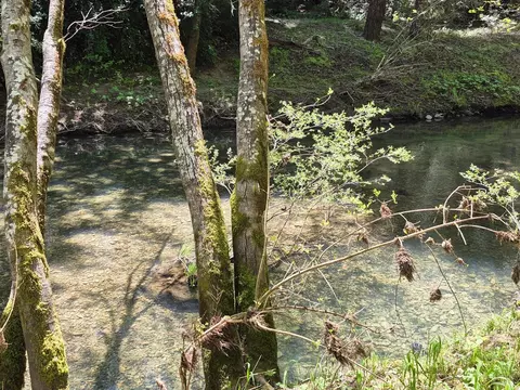 Other - 16770 Branscomb Rd, Branscomb, CA 95417 photo 23 of 26
