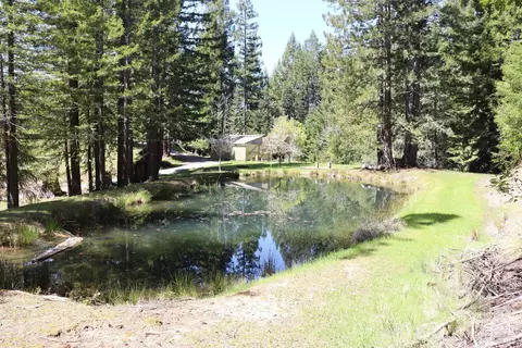 Other - 16770 Branscomb Rd, Branscomb, CA 95417 photo 26 of 26