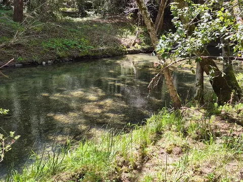 View/Area - 16770 Branscomb Rd, Branscomb, CA 95417 photo 4 of 5