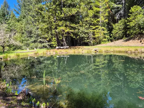 View/Area - 16770 Branscomb Rd, Branscomb, CA 95417 photo 2 of 5