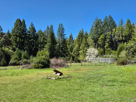 Exterior - 16770 Branscomb Rd, Branscomb, CA 95417 photo 31 of 40