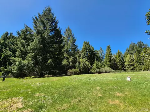 Exterior - 16770 Branscomb Rd, Branscomb, CA 95417 photo 40 of 40