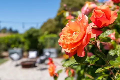 Other - 229 Cardinal Rd, Mill Valley, CA 94941 photo 9 of 10