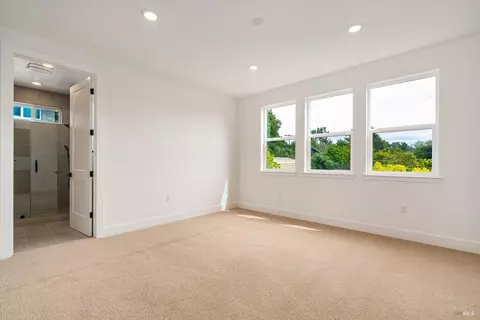 101 Grace Ln, Napa, CA 94559 photo 25